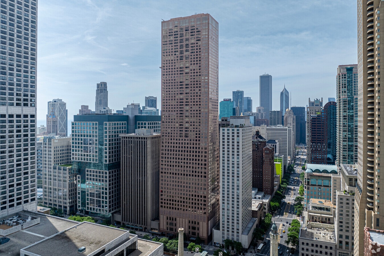 Primary - Olympia Centre