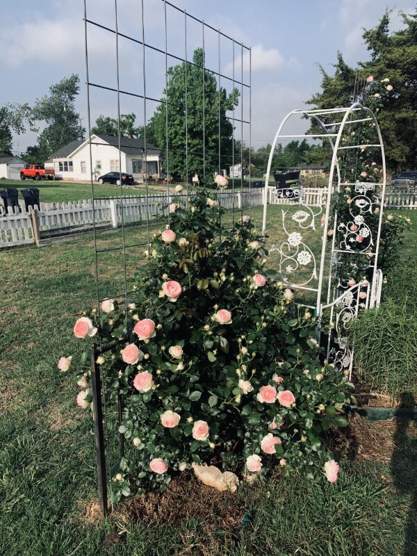 Photo - 1701 NW 29th St