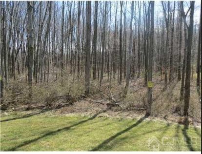 Photo - 1056 Morning Glory Dr
