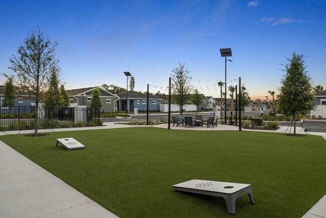 Photo - Avilla Silver Palm