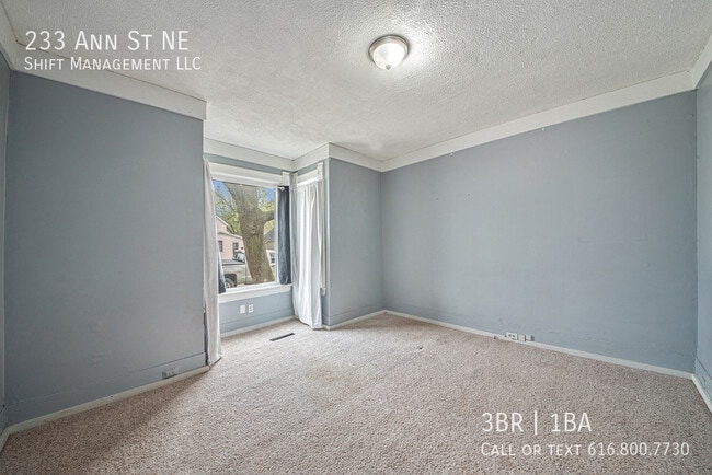 Photo - 233 Ann St NE