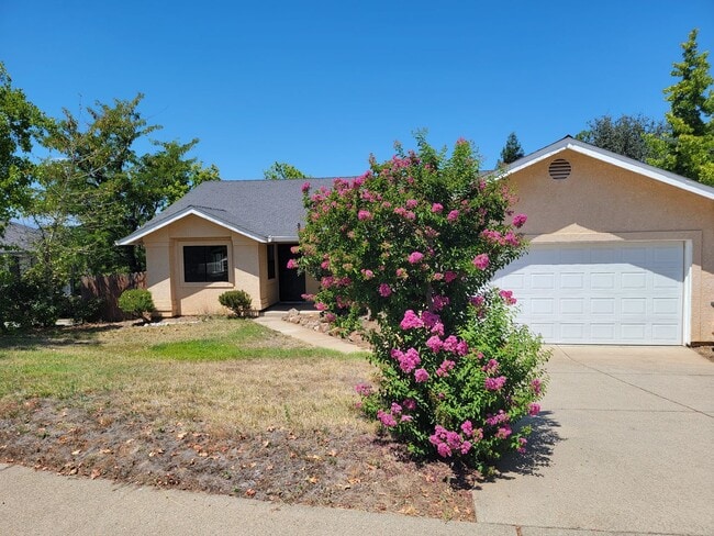 3 Bedroom House Near Schools and Hiking - 3 Bedroom House Near Schools and Hiking