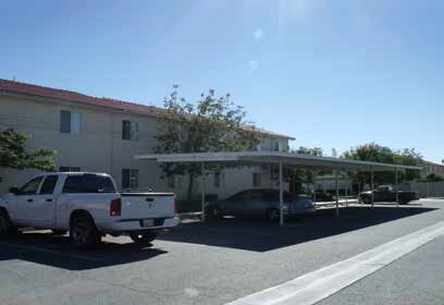 Photo - Vintage Woods