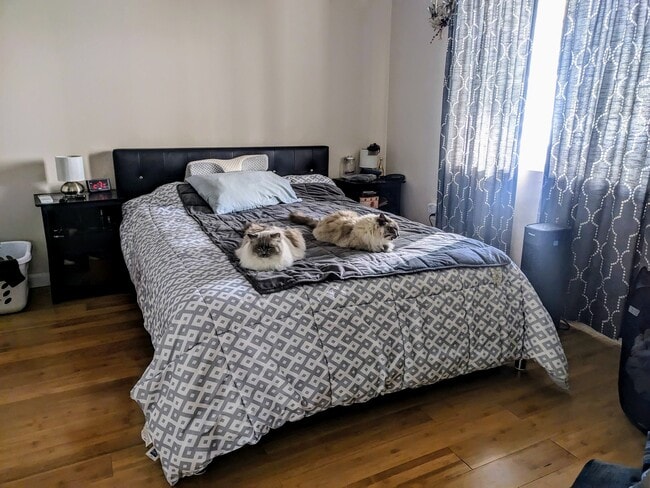 Photo - 63 Fenno St Unit 1