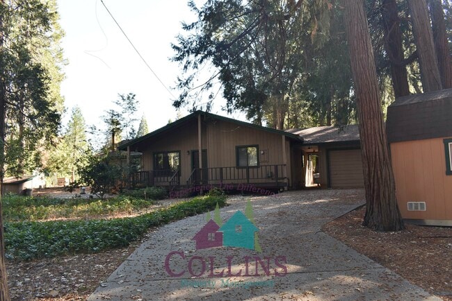 Photo - 11071 Cedar Ridge Dr
