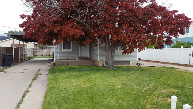 Charming basement apt - Charming basement apt