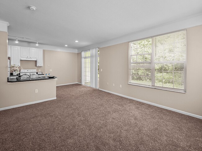 Spacious Living Room