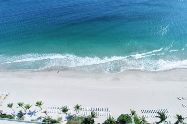 Building Photo - 3900 Galt Ocean Dr Unit 2314