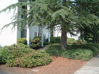 Jamestowne Plaza - Jamestowne Plaza Unidad C-1