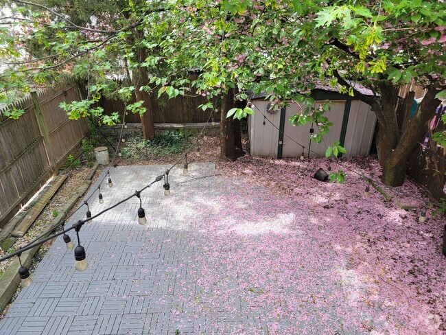 Building Photo - 415 66th St Unit 1 Rental