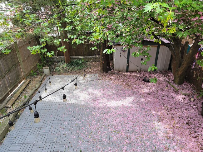 Photo - 415 66th St Apartamentos Unidad 1