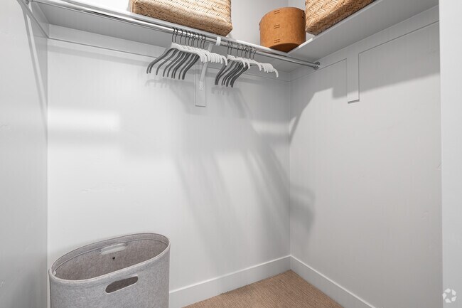 1BR, 1BA - 598SF - Closet