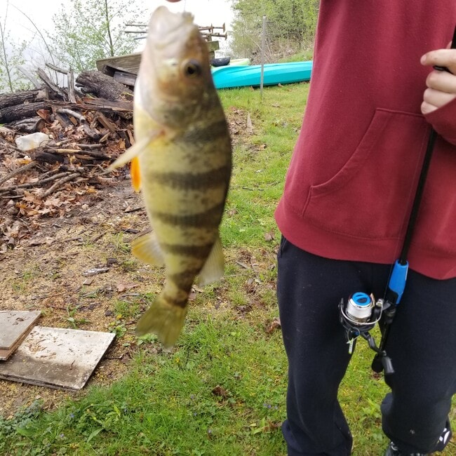 Photo - 29 Crescent Ter