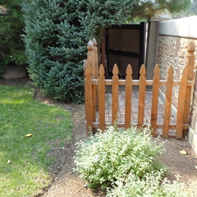 Photo - 20254 Ellie Ln