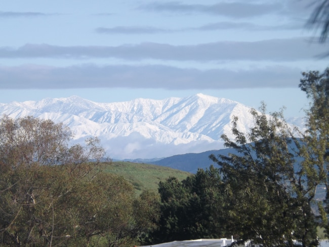 Building Photo - 3369 Punta Alta