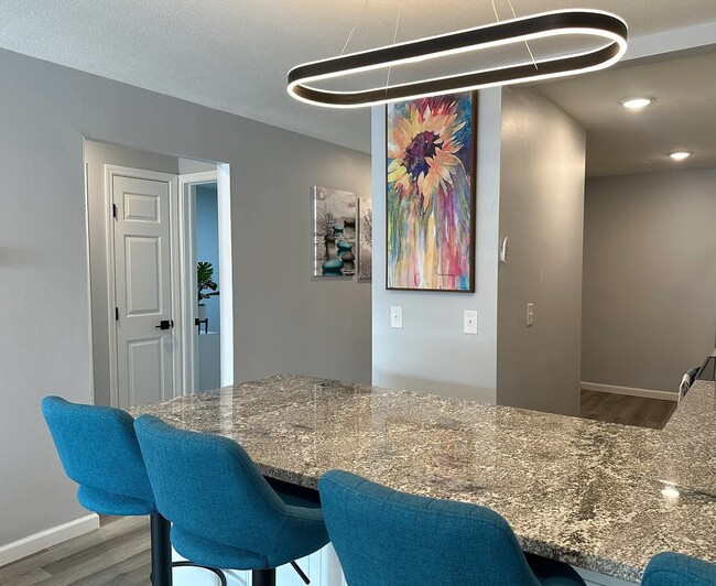 Stunning LED Fixtures, Granite Countertops - 314 Oak St.