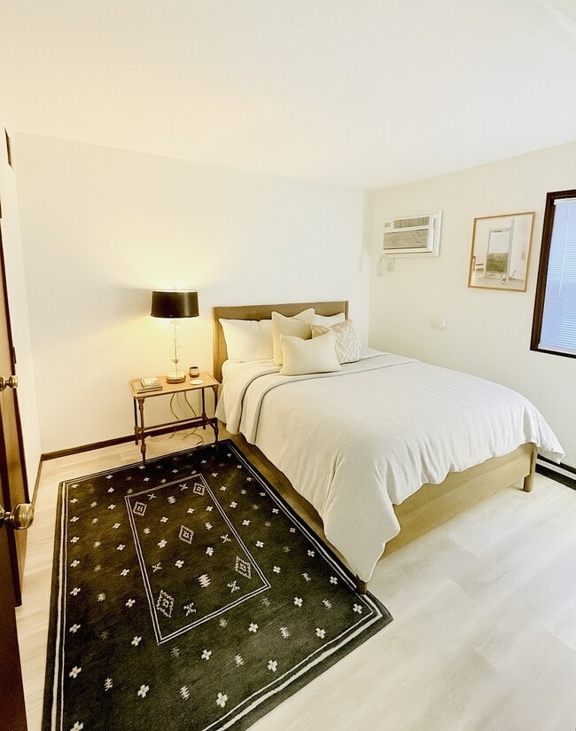 standard unit - 161 W Hubbard Ave
