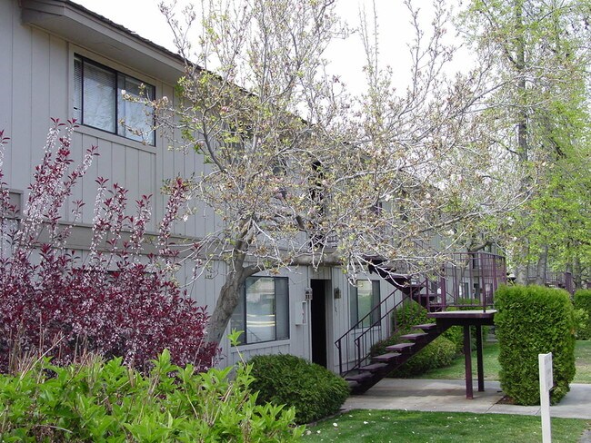 Corte Avalon - Avalon Court Apartments