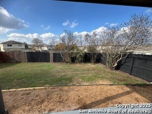 Photo - 25715 Gold Yarrow