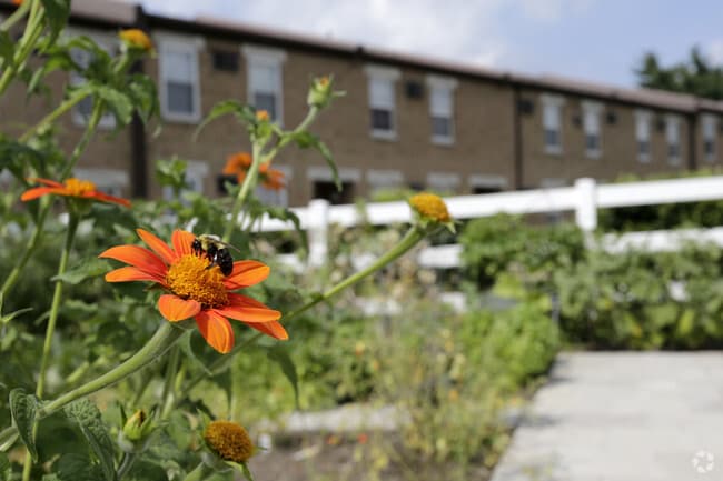 Community Garden
