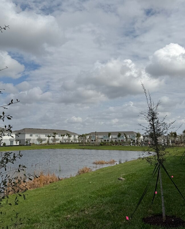 Photo - 16559 San Nicola Pl