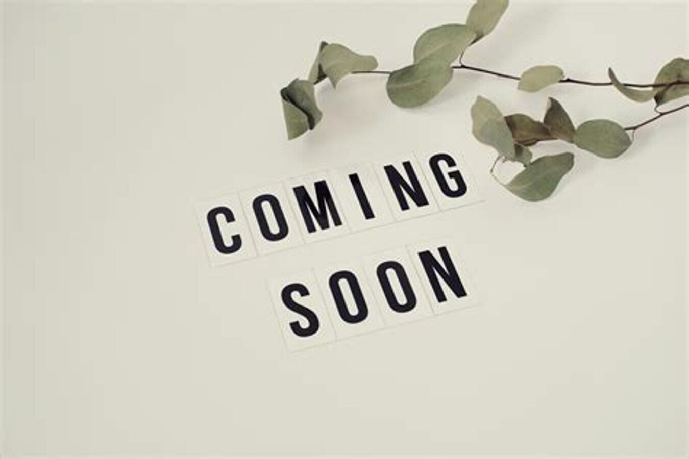 Beautiful Four Bedroom Two Bath Home being renovated and available soon in Radford - Beautiful Four Bedroom Two Bath Home being renovated and available soon in Radford