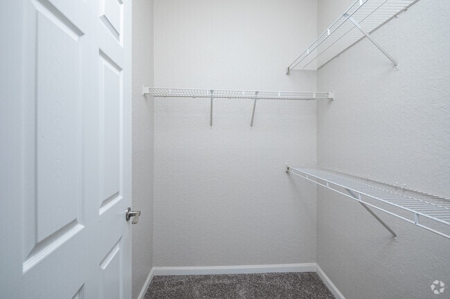 1BR, 1BA - 741SF - Walk-In Closet