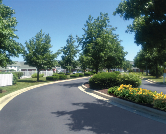 The Groves @ 665