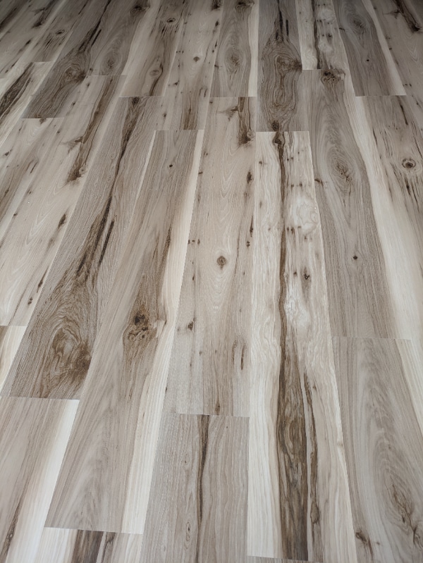 Photo - 361 Americana Dr