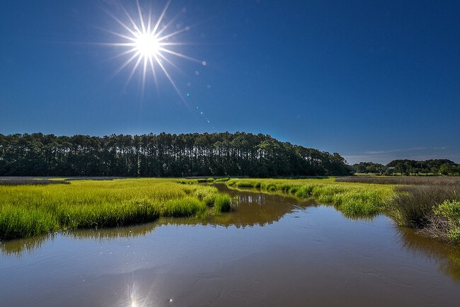 Full Moon Over the Ashley River