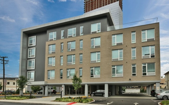 The Cosmopolitan - The Cosmopolitan Apartments