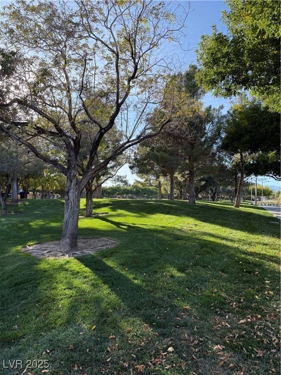 Photo - 11230 Revelry Ln