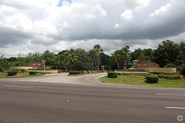 Photo - Courtney Palms