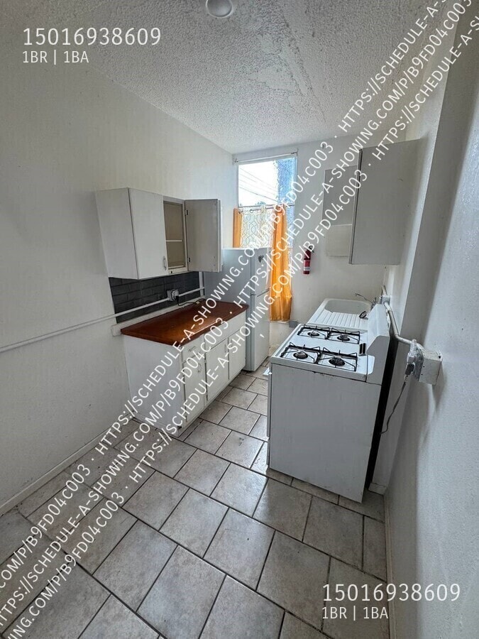 515 Quapaw-1 - 515 Quapaw-1 Apartment Unit 1