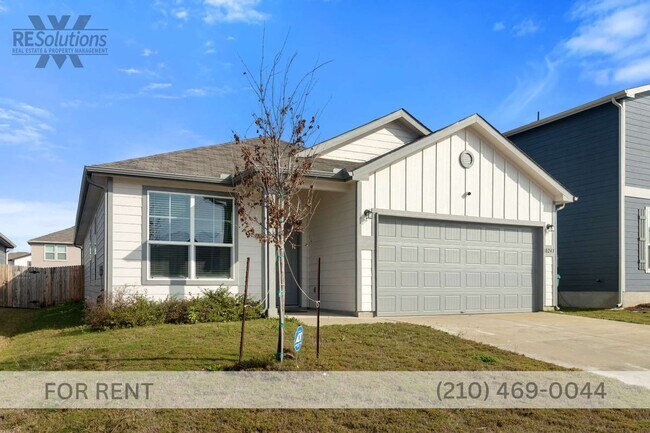 Photo - 10243 Band Wagon