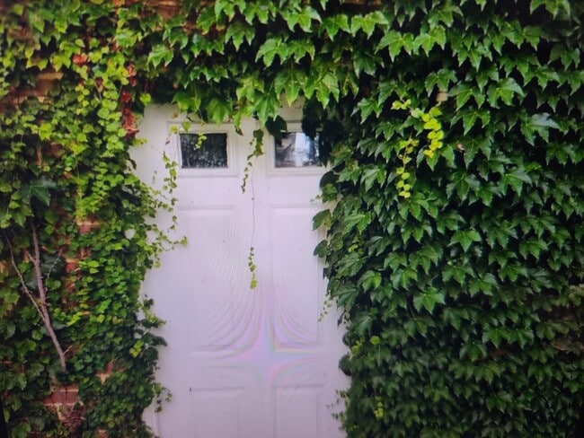 Photo - 1211 Fern St NW Unidad Spacious Charming Cottage