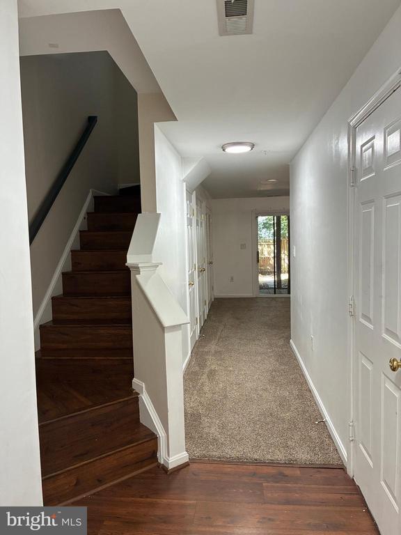 Photo - 10164 Tree Frog Pl
