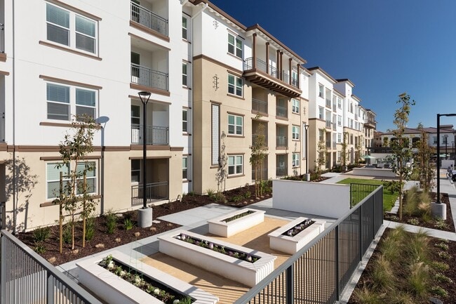Palmia, Age 55+ Luxury Apartments