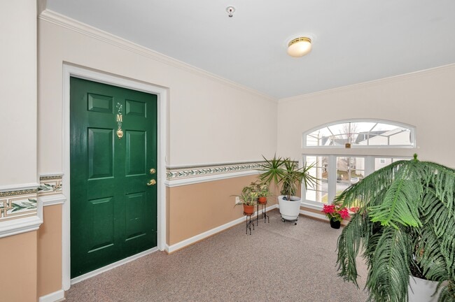 Photo - 500 Bradley Ct