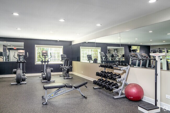 Gimnasio