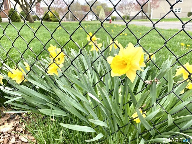 Photo - 119 Carroll St