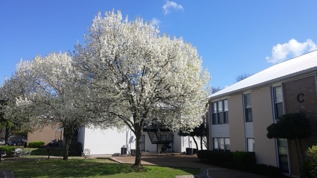 Photo - 246 White Bridge Pike Unit 246 A8