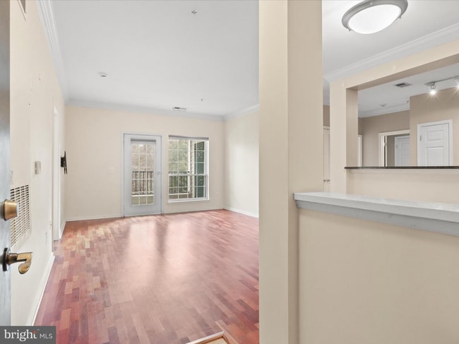 Front door facing living room - 4860 Eisenhower Ave Unit 292