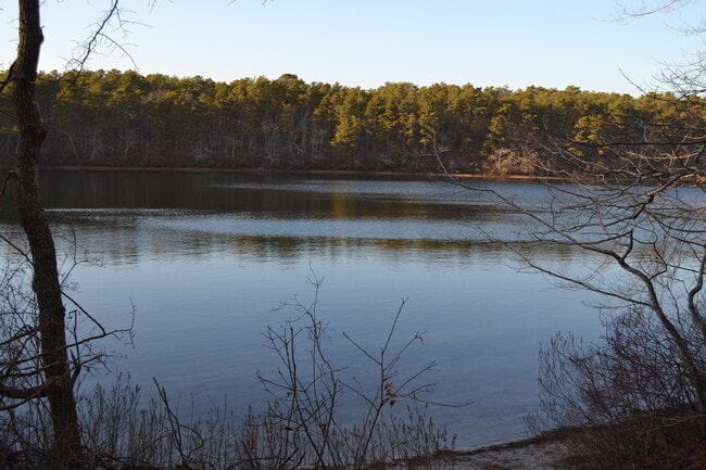 Pond - 301 W Yarmouth Rd Unit A