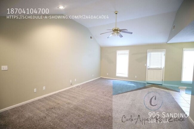 905 Sandino-