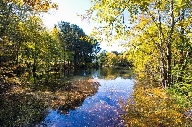 Photo - Available Now – Sought After Walnut Grove ...