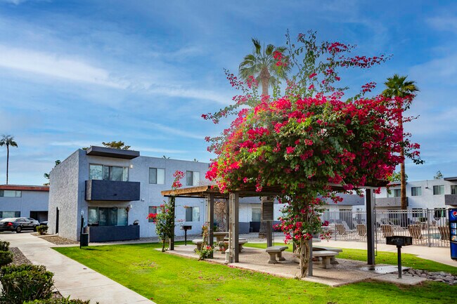 Park Village