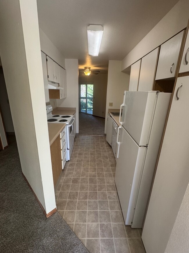 kitchen style 2 - Forest Green Apartments