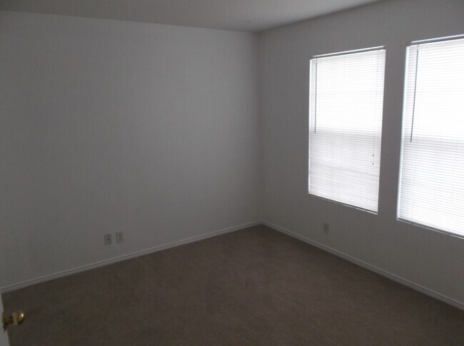246 Blue Juniper