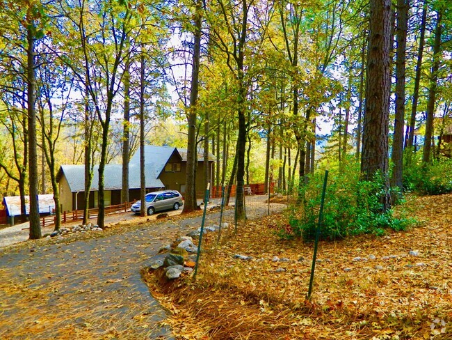 Building Photo - TODD VALLEY MODIFIED A-FRAME Rental